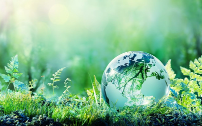 羟乙基纤维素在防火涂料中的核心作用